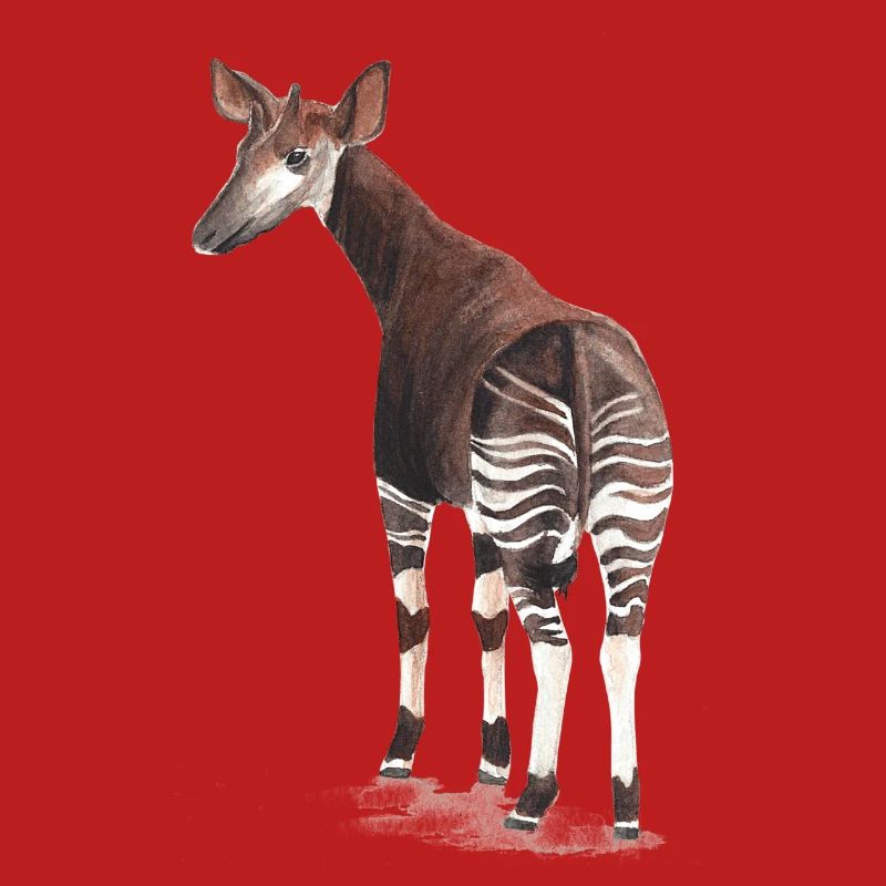 Okapi