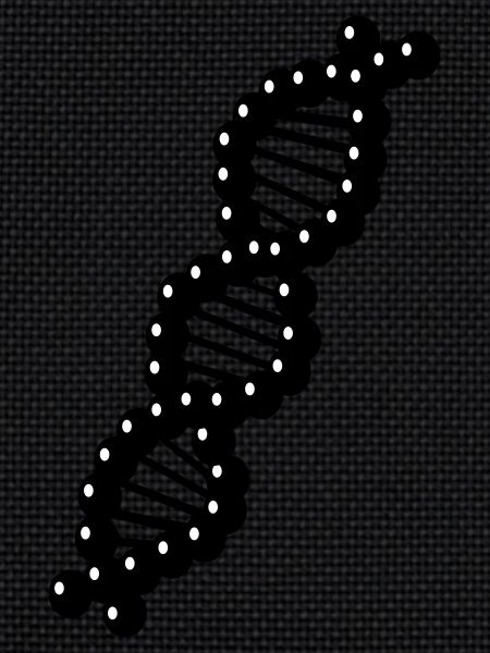 DNA - ADN