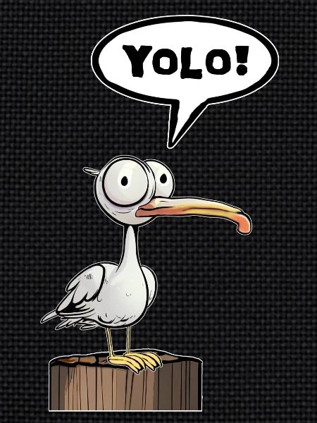Seagull Speech Bubble Yolo