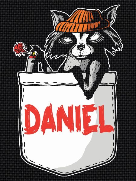 Raccoon Daniel