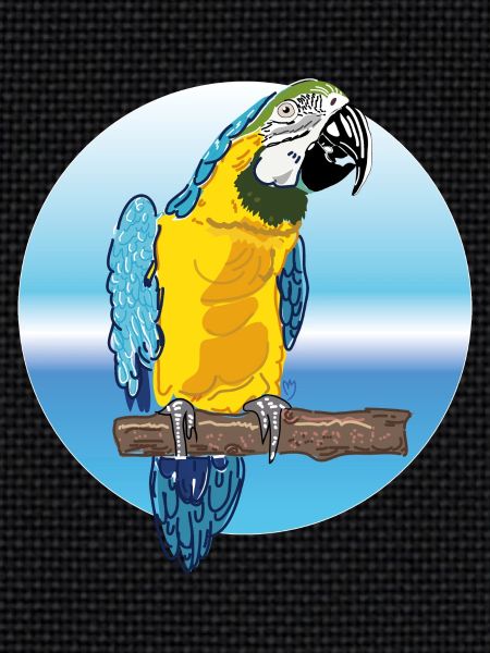 parrot