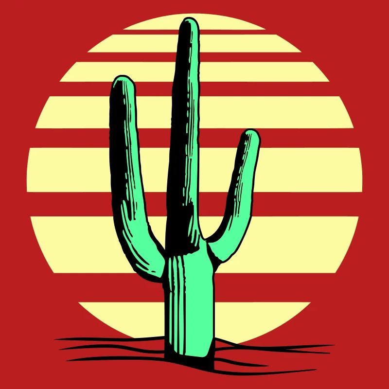 Cactus Desert Sunset Evening Night Cacti