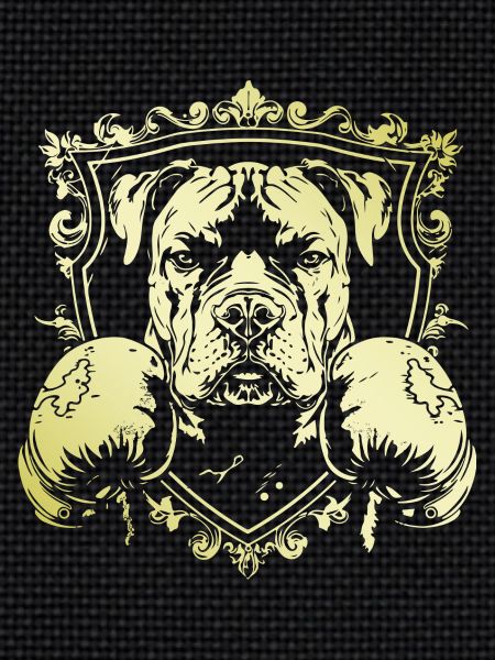 Dog Boxer