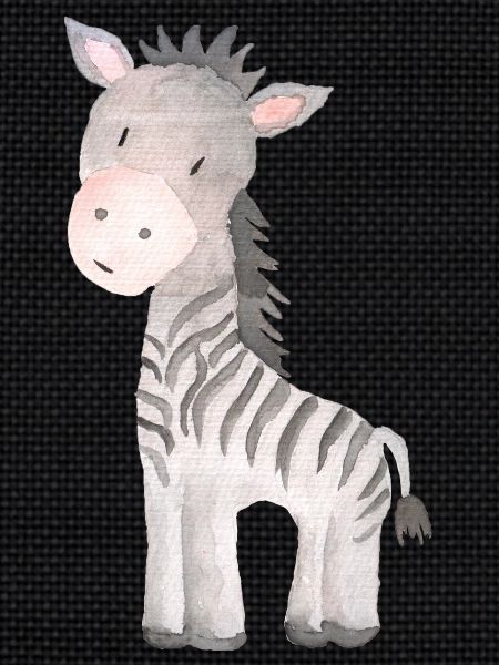 Zebra baby