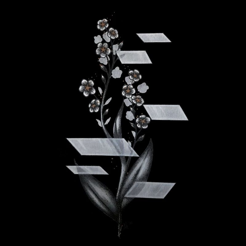 forget Me Not