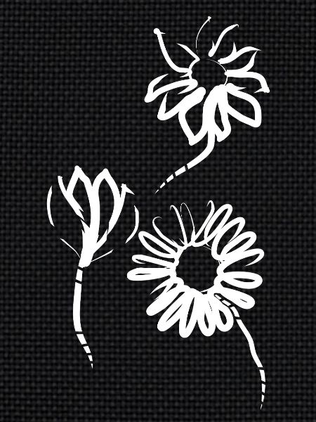 Spring Flowers