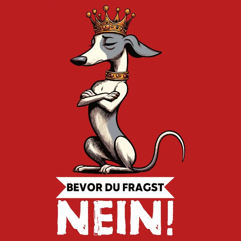 Avant de demander aux Whippets Greyhound Whippets