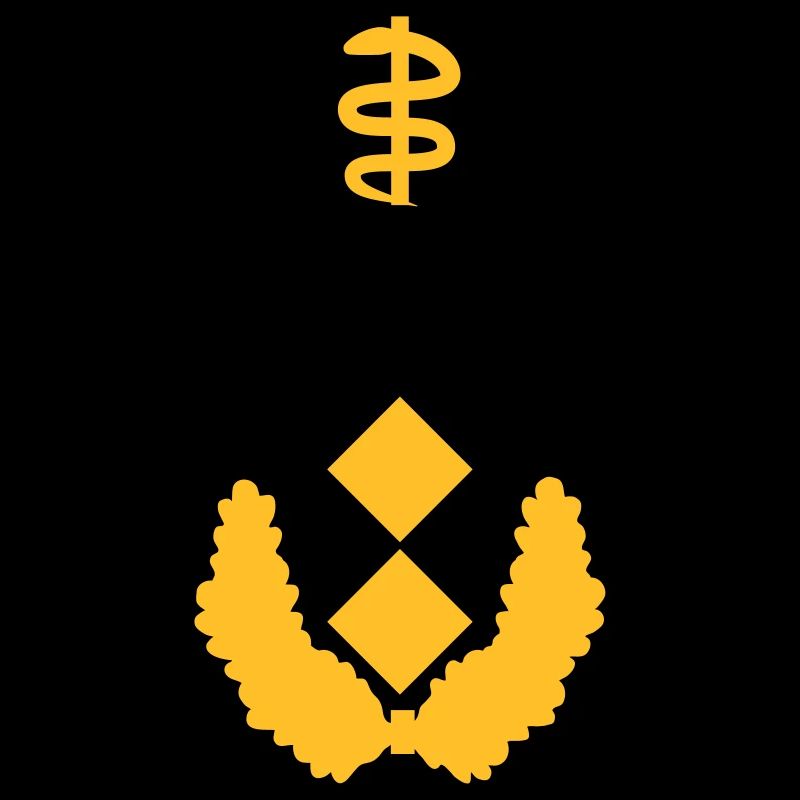 Generalstabsarzt Dienstgrad