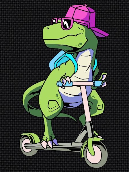 Scooter Roller