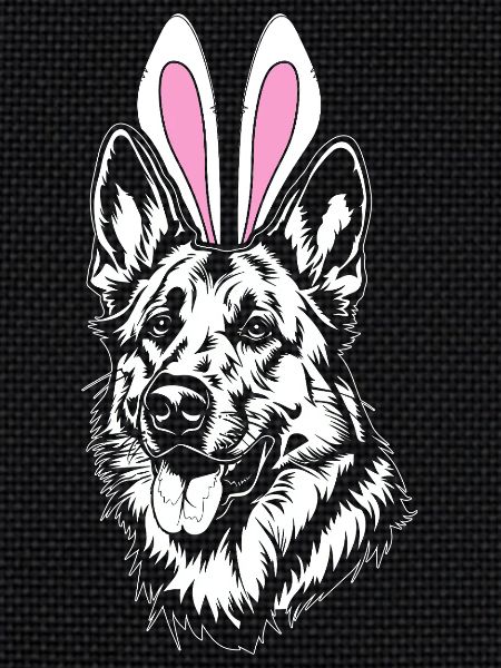 Rabbit Dog German Shepherd