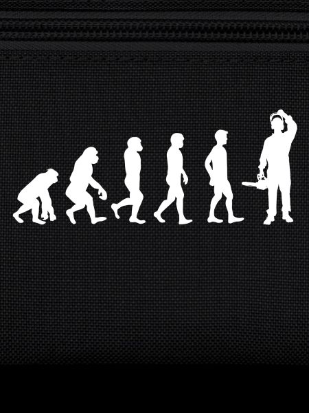 Evolution du bois / BOIS /
