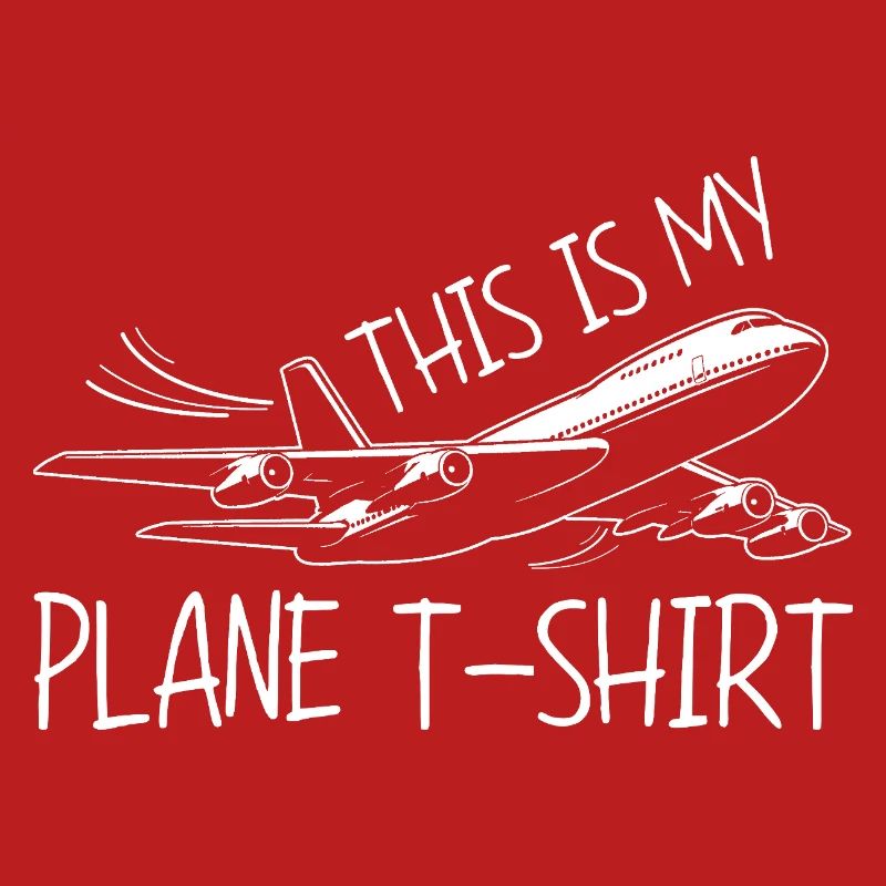 Flugzeug Flug Pilot Flugzeug Fluggesellschaft