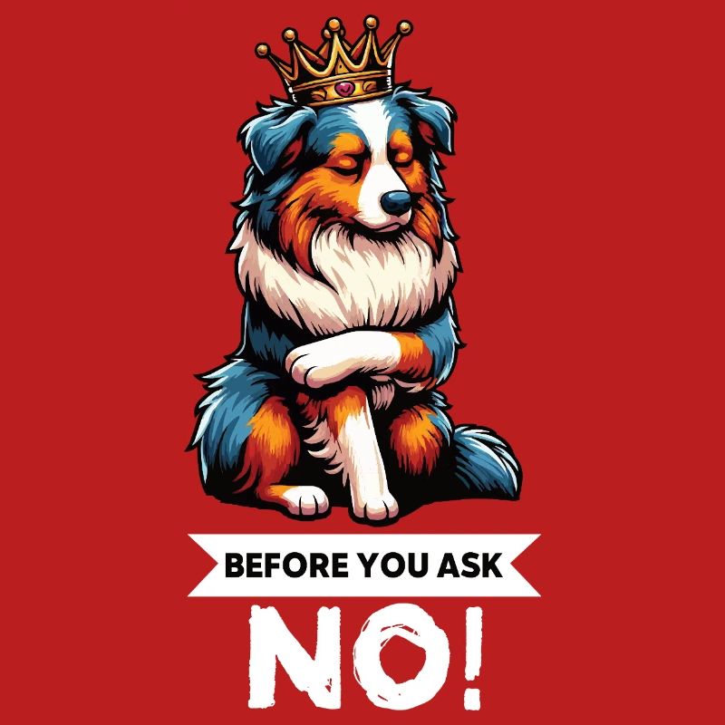 Avant de demander aux Australian Shepherds Aussie Aussies
