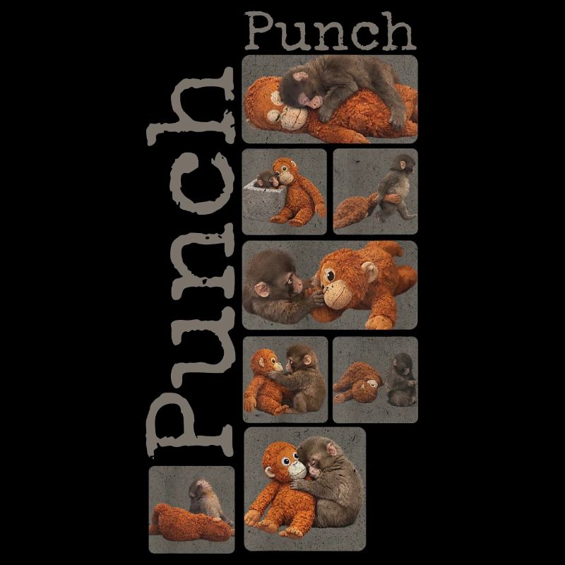 Süßer Baby Affe gibt Faustschlag Monkey Punch