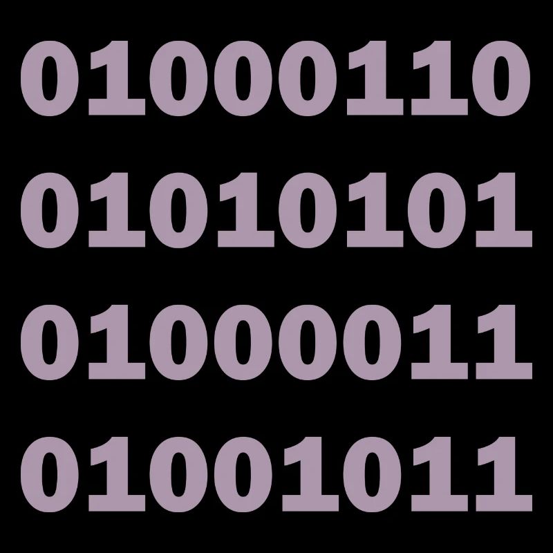 Binary Code Fuck