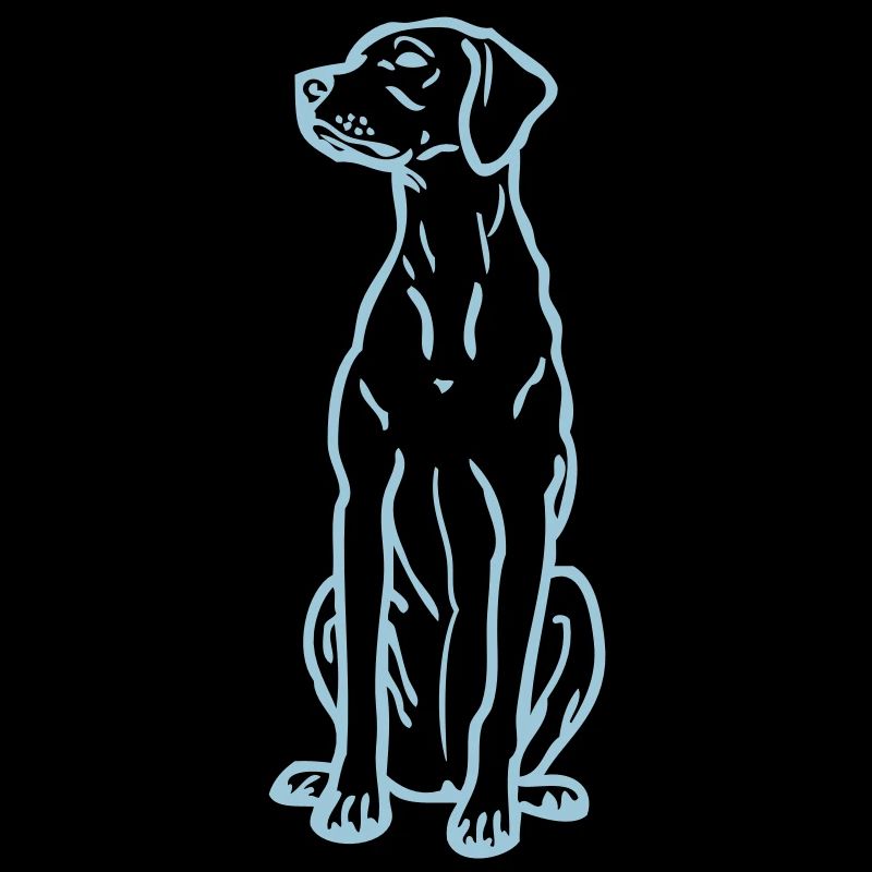hongarianvizsla_02