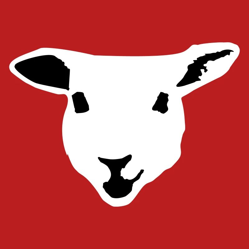 sheep, lamb