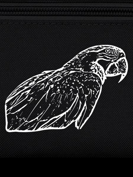 Parrots Bird White