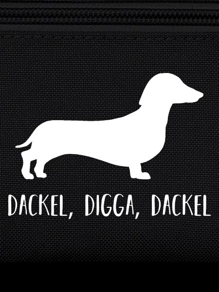 Chien teckel