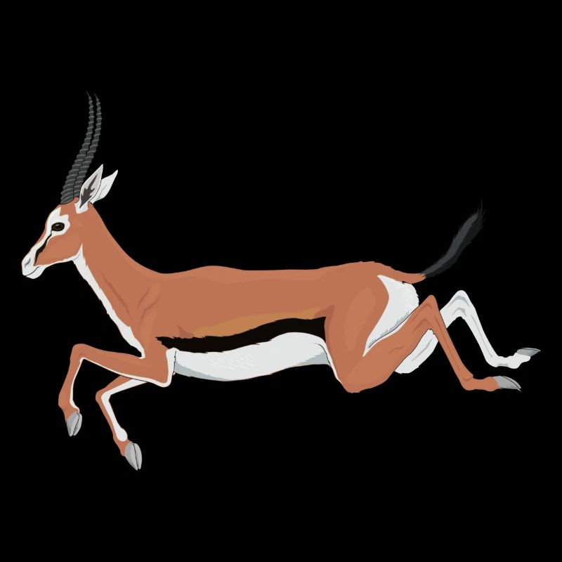 antilope antelope impala hartebeest kudu oryx papa