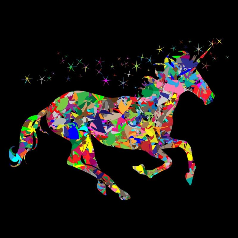 colorful unicorn rainbow