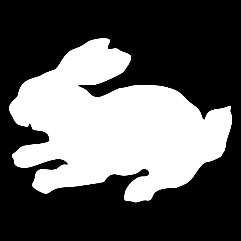 Hase