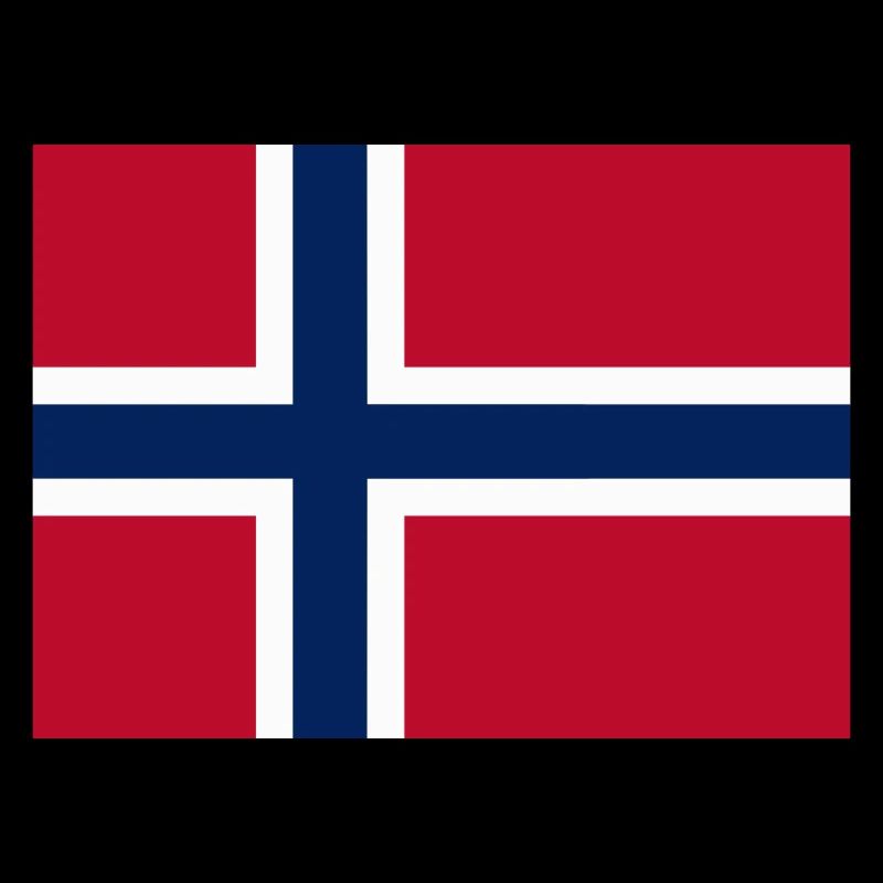 Norway flag