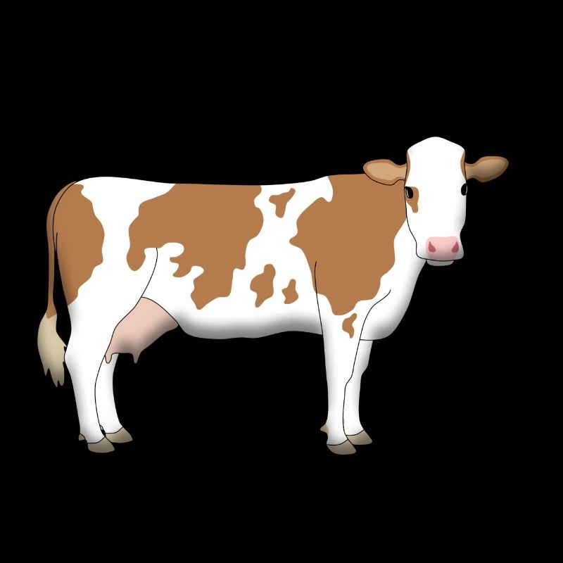 Vache 2
