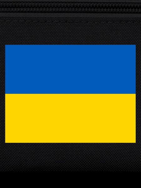 Ukraine Flag