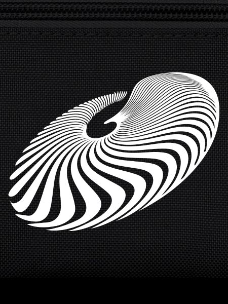 Geometric Circle Lines Spiral