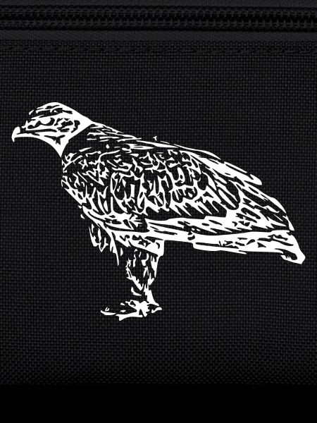 Faucons Oiseaux Oiseaux