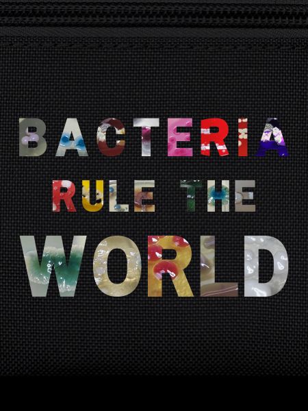 Bacteria Rule The World