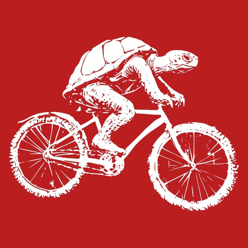 Bicycle Turtle