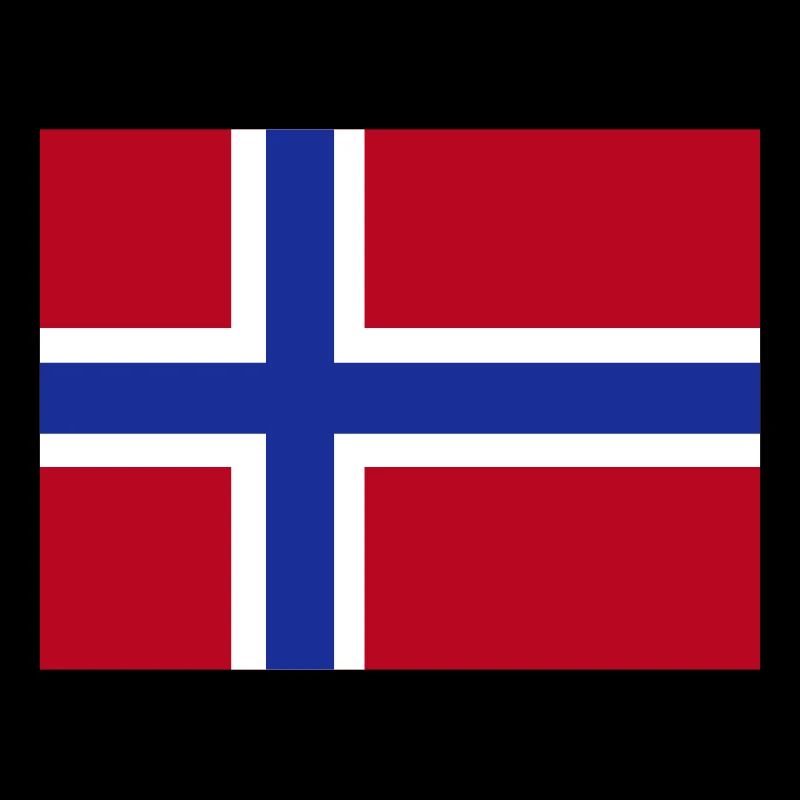 Drapeau norvégien