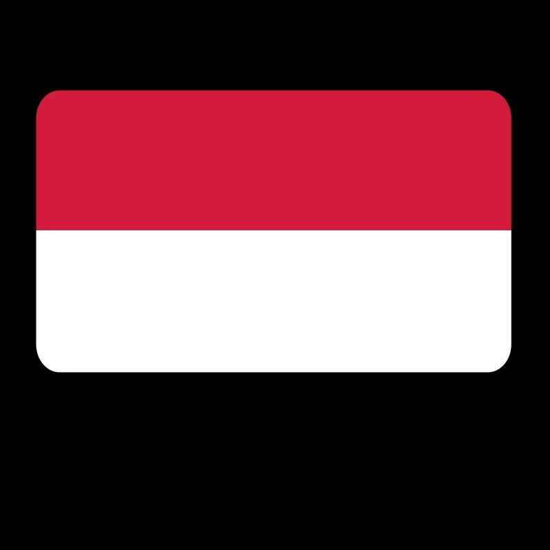 Drapeau national de l Indonésie