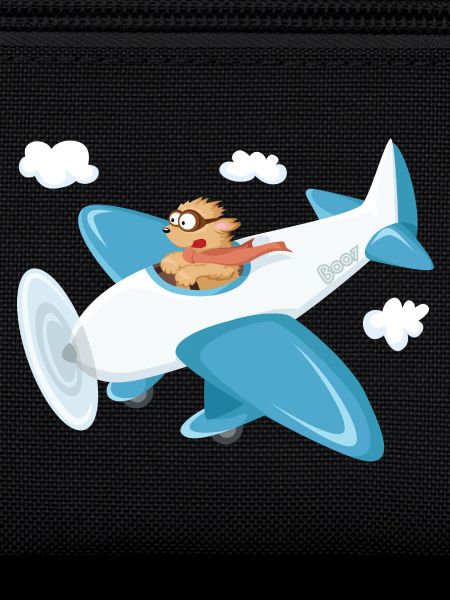 Boo und Flugzeug oo-Serie