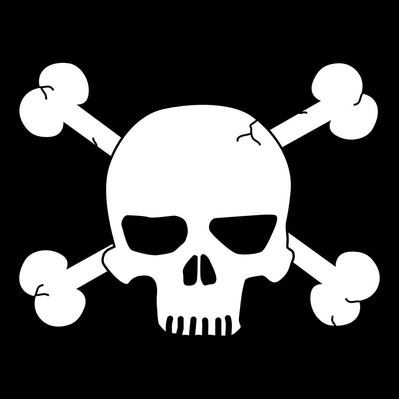 skull with bones / pirate