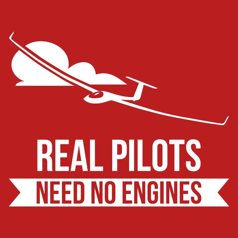 Real Pilots Need No Engines Gliding Flies