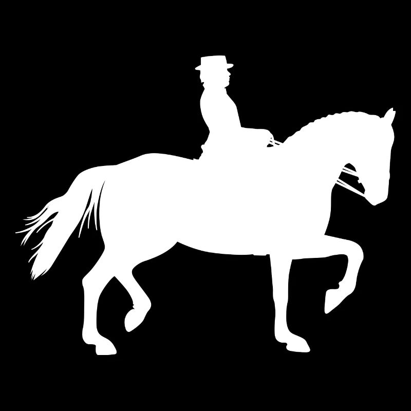Equitation Riding Equestrian Equestrian Equestrian sport