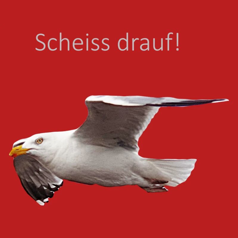 Möwe im Flug Spruch