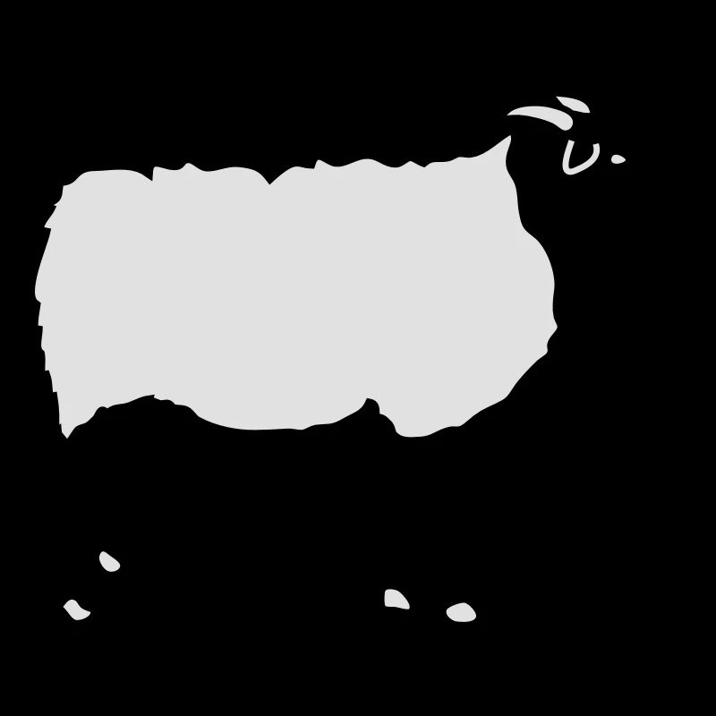 Schaf Schafe Heidschnucke Lamm Schäfer Lämmer