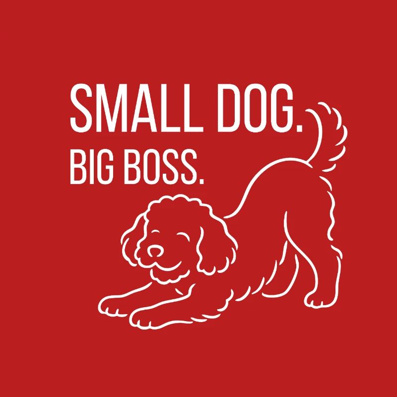 Zwergpudel, Malti-poo oder Königspudel 