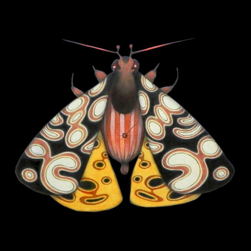 Moth schwarz und gelb