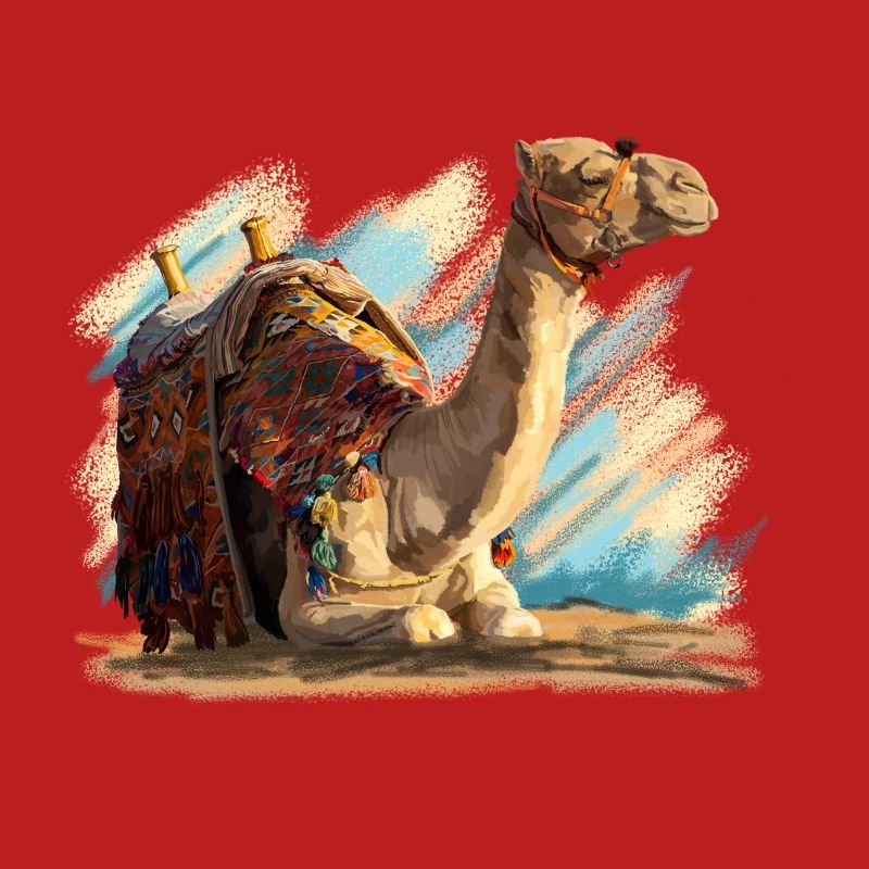 kamel