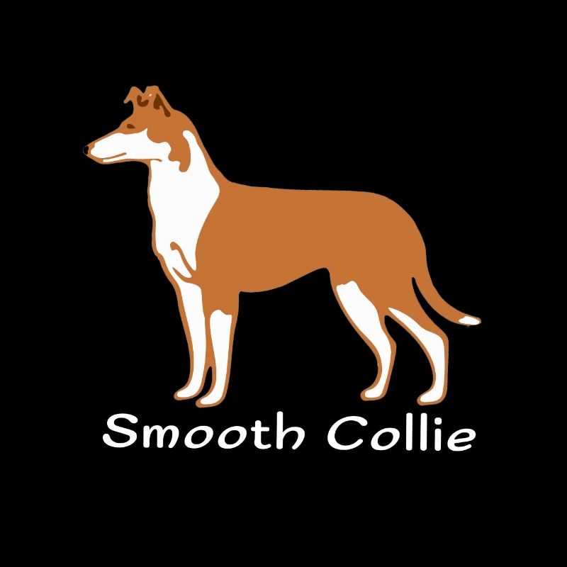 Colley sable à poil court