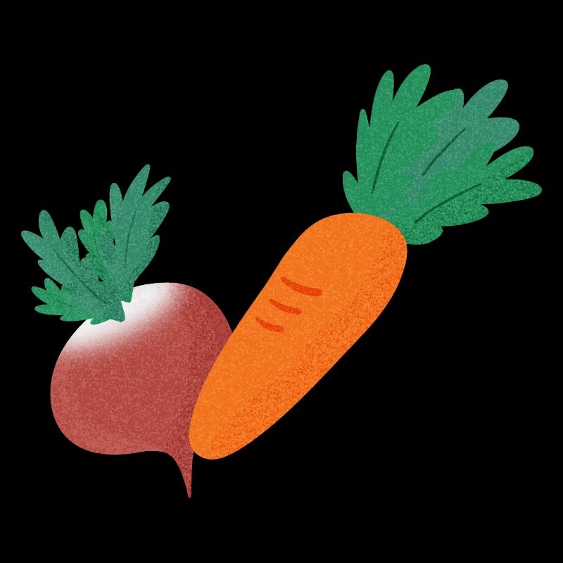 Radish & Carrot
