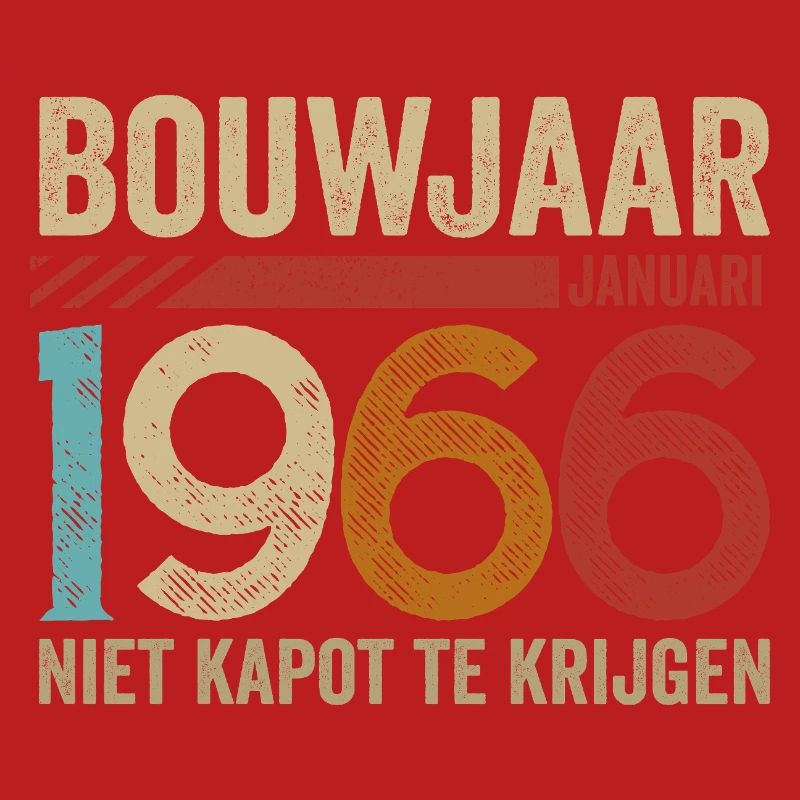 Année de construction : janvier 1966 ne peut être annulée
