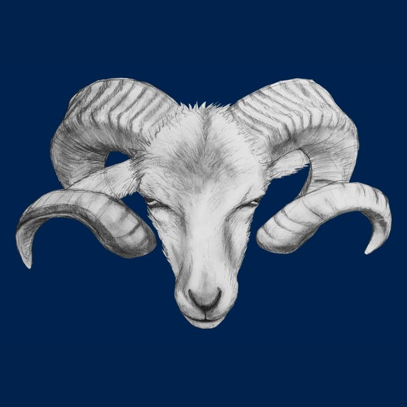 Widder | Sternzeichen