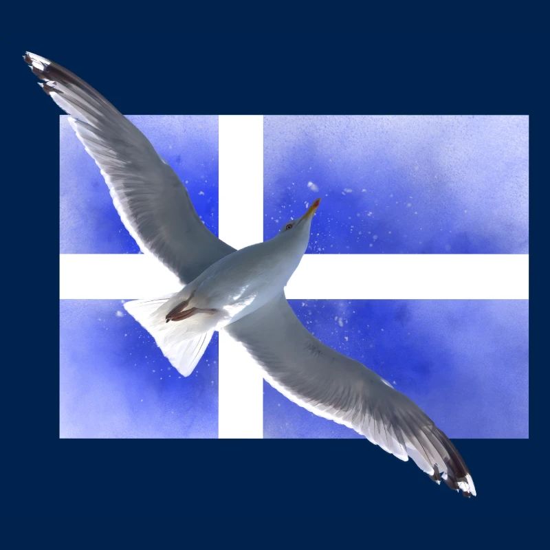 Finnland Möwe Suomi