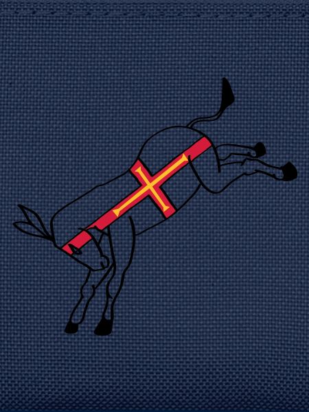 guernseydonkey